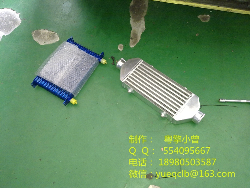 20090629504