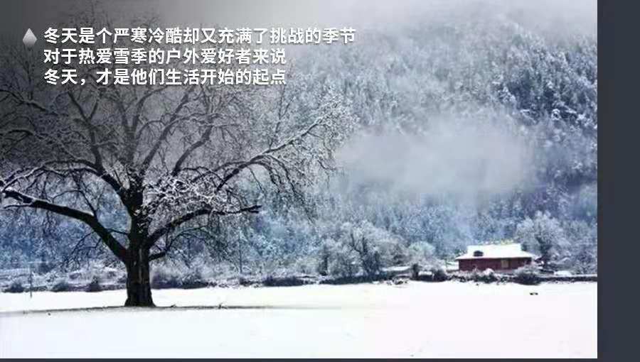 拓樂車頂箱