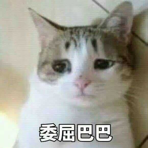 微信圖片_20170604131558.jpg