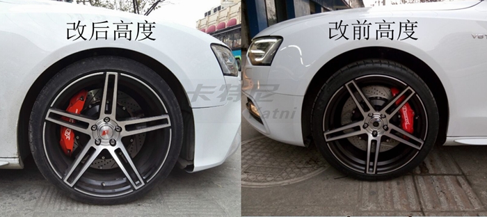 成都奧迪S5改裝Eibach短彈簧