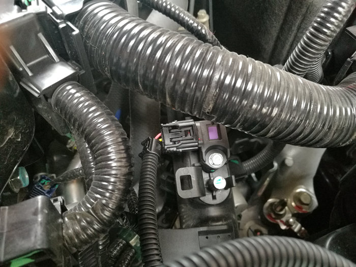 成都十代思域動力升級之RaceChip外掛電腦