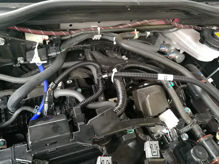 成都十代思域動力升級之RaceChip外掛電腦