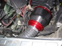 PIPERCROSS高流量冬菇頭