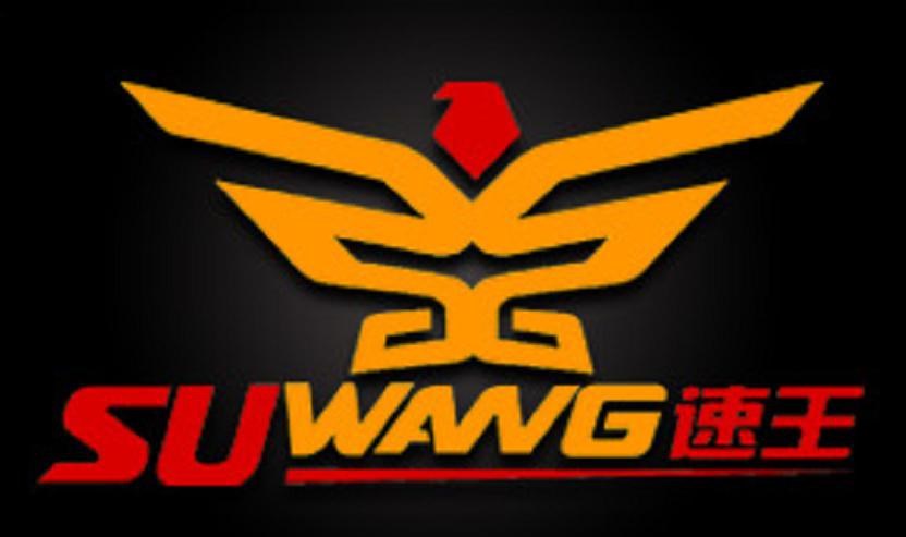 廣州速王汽車配件有限公司 Logo