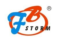 风暴动力改装会所 Logo