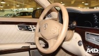高檔天然木質鑲嵌的車門面板——加工桃木