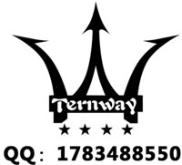 騰威汽車服務(wù) Logo
