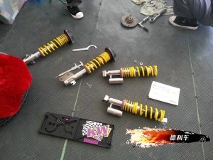 大連德利汽車改裝力獅改KW V3避震
