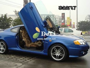 大連德利汽車改裝現(xiàn)代酷派改裝鷗翼門效果圖欣賞