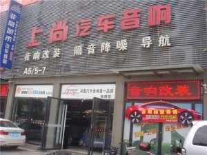 大眾途銳改裝意大利歐迪臣音響-陜西西安上尚汽車(chē)音響