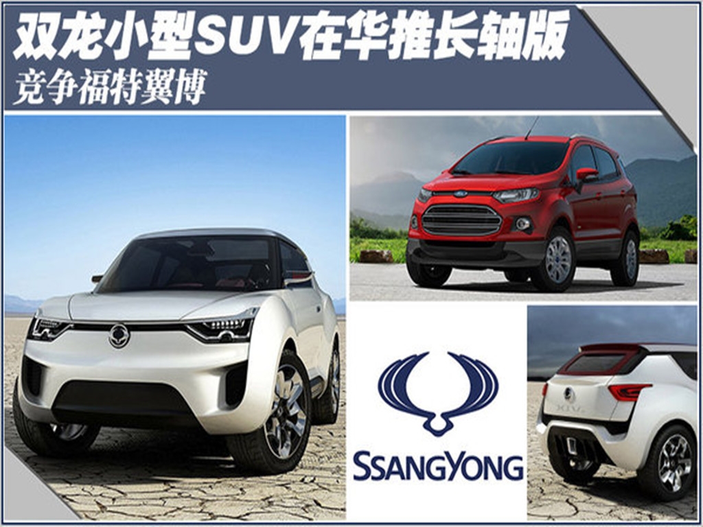 雙龍小型SUV--路帝木地板改裝