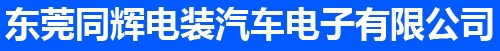 廣東東莞同輝電裝 Logo