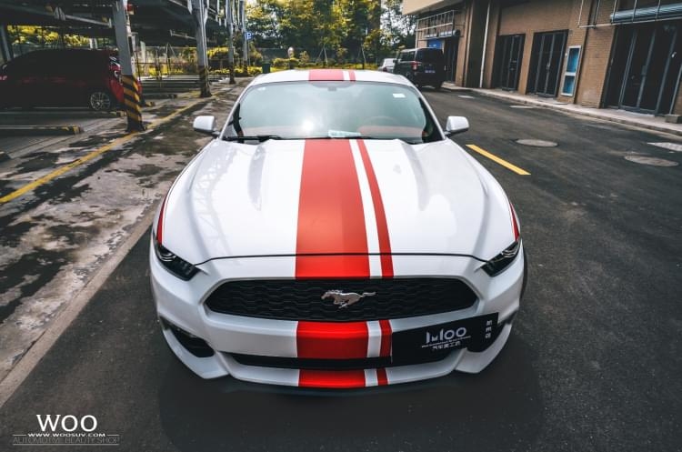 福特野馬Mustang【空軍雷鳥版拉花】