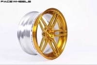 facewheels fwd201 2PC 兩片式鍛造