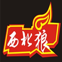 银川市兴庆区西北狼车灯店 Logo