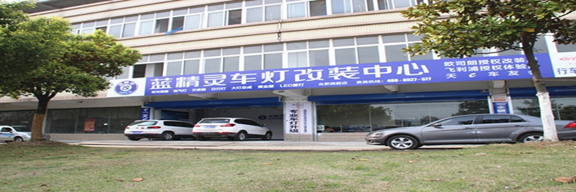 合肥藍精靈改燈旗艦店 Logo