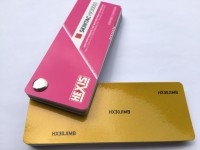 法國 HEXIS  小珠光香檳金（奧迪A4L）