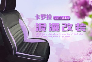 史上最浪漫的卡罗拉内饰改装 东京很热 老司机带你去赏樱花