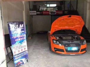 品牌：奧迪TT 動(dòng)力特調(diào) ecu優(yōu)化 升級