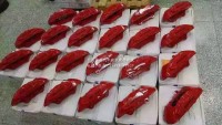 德國奔馳AMG鮑魚剎車正品批發(fā)代理大量到貨