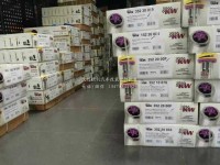 美國原裝KW減震器KW減震器KW代理授權(quán)