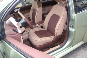 嗨~你的甲殼蟲還好嗎？看看這只個(gè)性的小蟲子