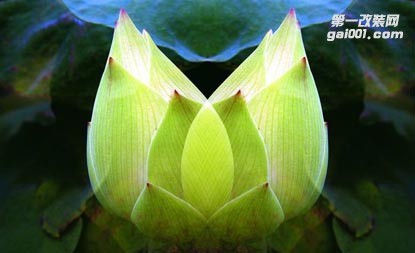 改裝行業(yè)中有一種美，叫做“排氣”對(duì)稱之美