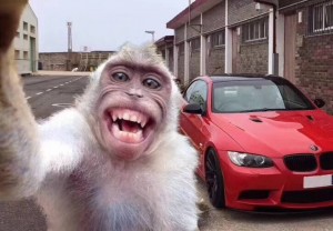 藝道車改汽車內(nèi)飾改裝Deternal座椅改色水性漆