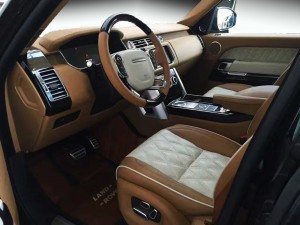 大路虎車(chē)內(nèi)飾被狂虐，車(chē)主既然拍手稱(chēng)快