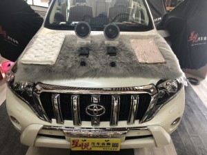 汕頭星悅汽車(chē)音響改裝豐田普拉多霸道四門(mén)意大利STEG史泰格隔音降噪前聲場(chǎng)更換丹拿272二分頻套裝喇叭