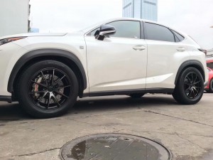 雷克薩斯，換 RAYS G25 KK色 完工！