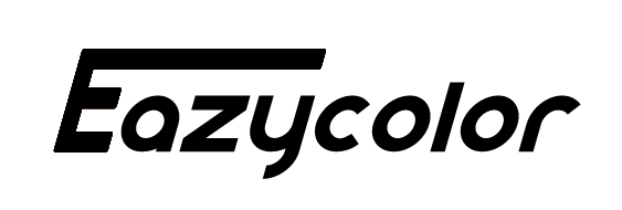 廣州Eazycolor車身改色 Logo