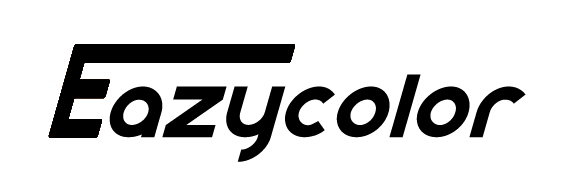 广州Eazycolor车身改色 Logo