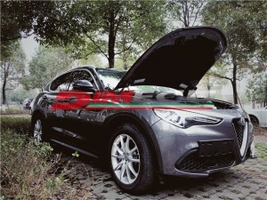 阿爾法 Stelivo 2.0t準(zhǔn)新車特調(diào)Dimecu程序