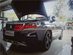 標(biāo)志4008 升級Dimecu程序