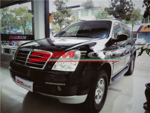雙龍雷斯特 2.7t特調(diào)Dimecu程序