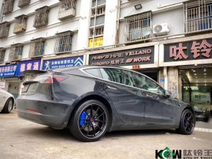 斯拉 model 3 換RAYS G25 19寸完工！