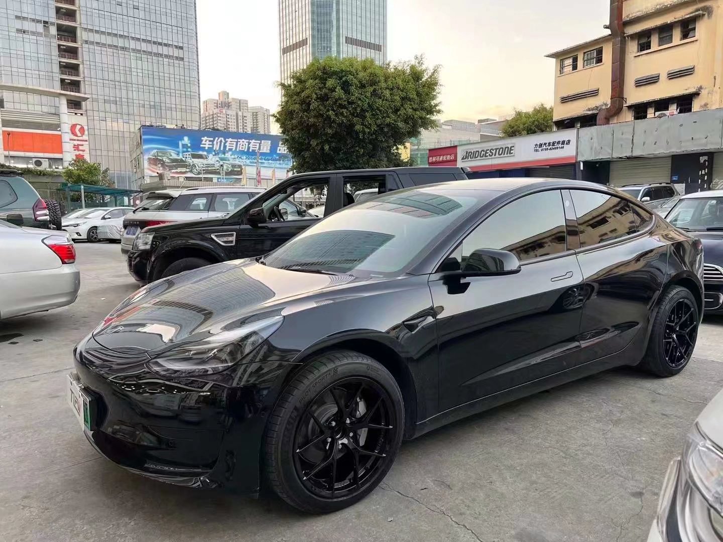 特斯拉 毛豆3定制 TLFW縷空18寸完工