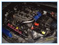 SDC12956