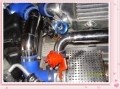 SDC12875