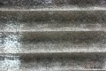 IMG_8009