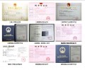 公司各種證件