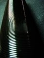DSC03867