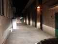 PA180295_副本