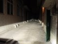 PA120223_副本