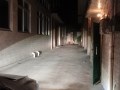 PA120228_副本