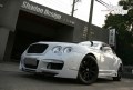 Mansory改保時捷Panamera Turbo