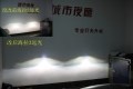 照片 259_