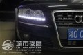 照片 262_