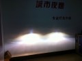 照片 330_